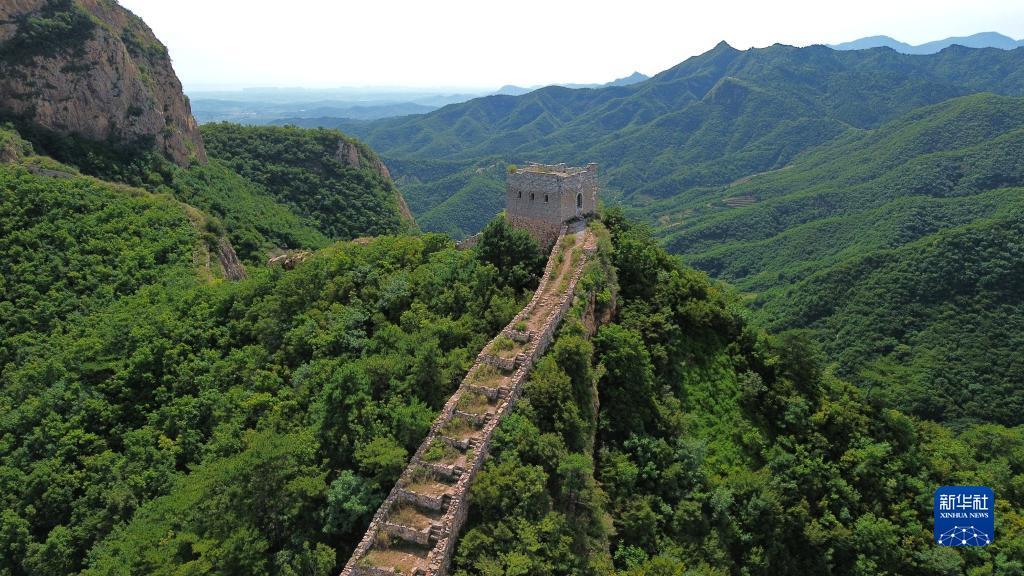 奥门新匍京官网